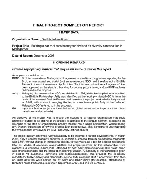 simple project completion report template